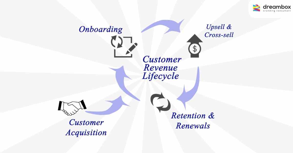 customer-lifecycle-dreambox