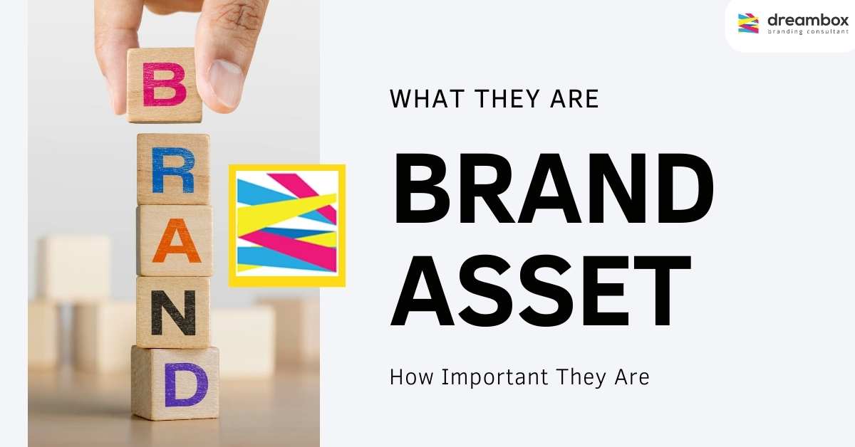 brand-asset-dreambox