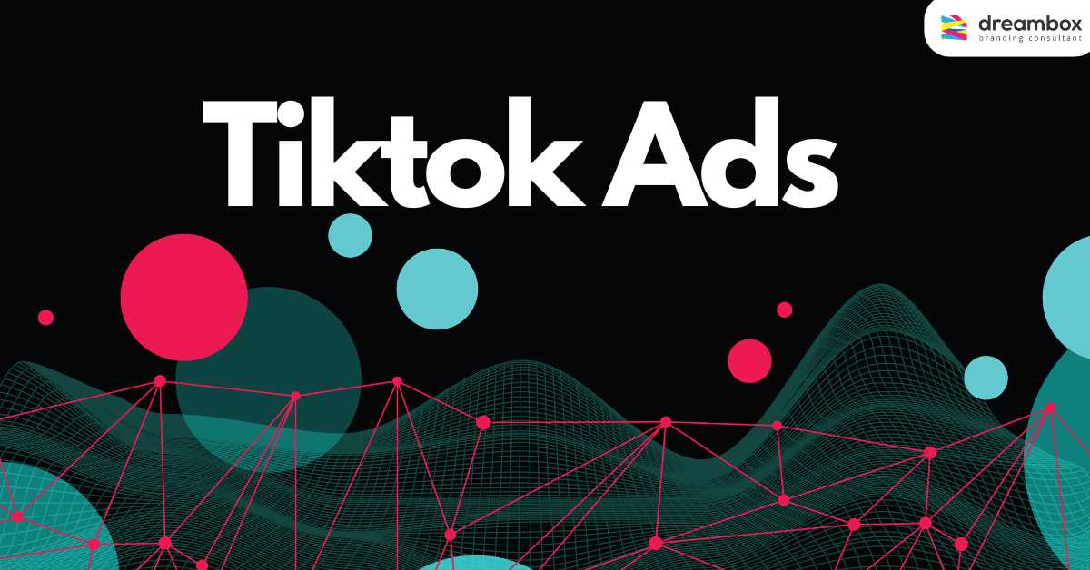 TikTok-Ads-dreambox